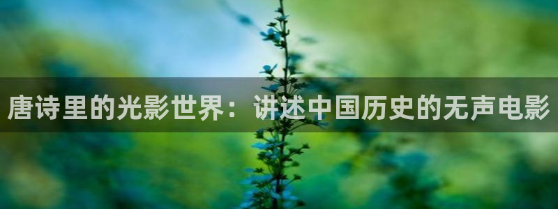 青苹果影视打扑克