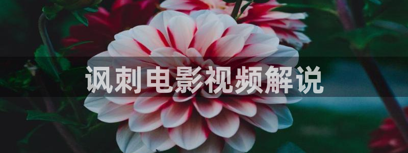 yy8840青苹果影院