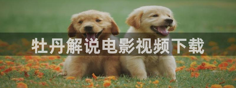 4480青苹果影院怎么投屏