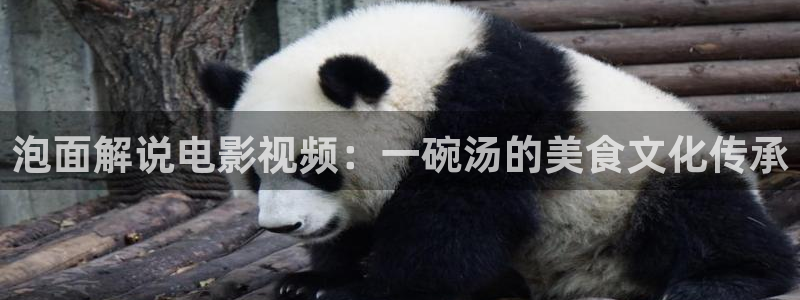这就是灌篮第五季青苹果影院