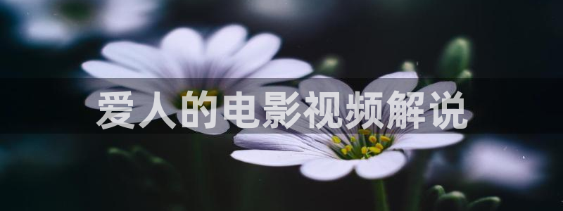 青苹果影院乐园