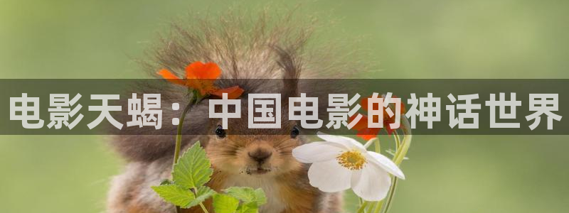青苹果影院4480免费观看