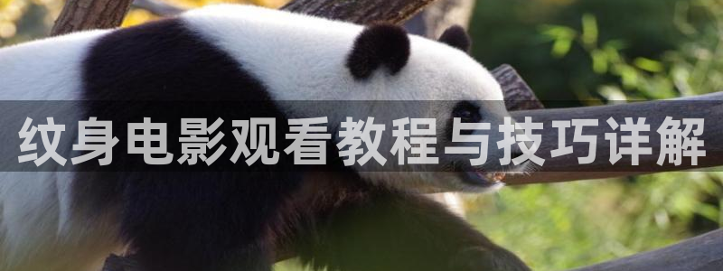 www.y4480青苹果影院