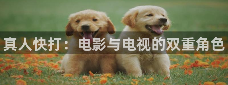 青苹果yy6090