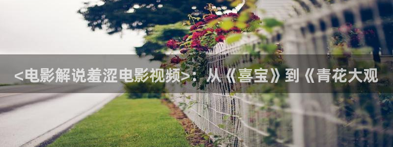 yy6080青苹果影院免费观看