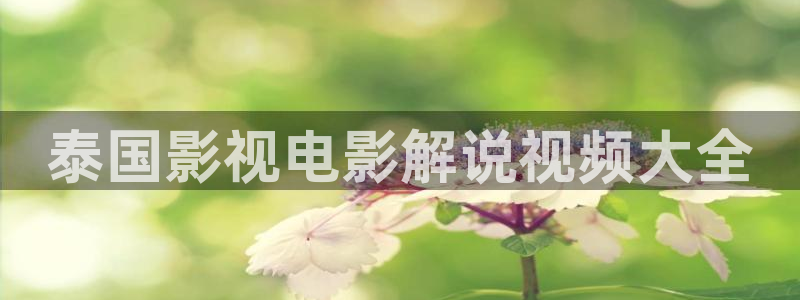 6080yy青苹果影院免费看
