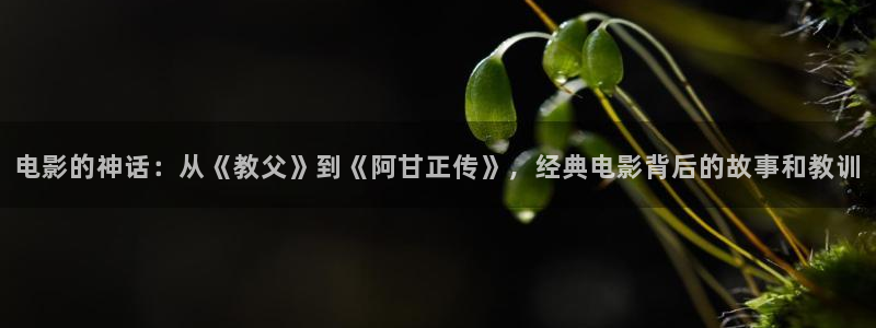 4480青苹果私人影院青苹果影院