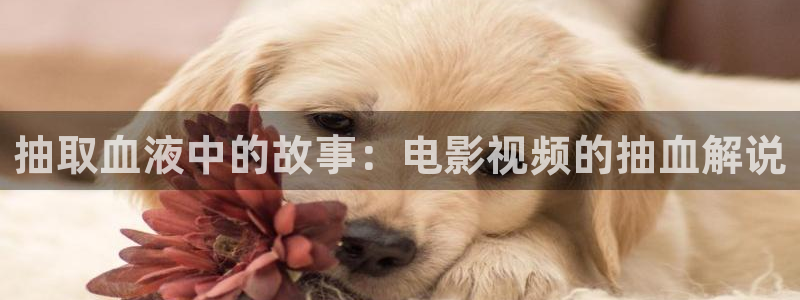 青苹果影院悠久影院