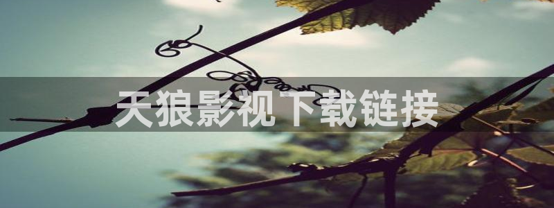 6069青苹果院