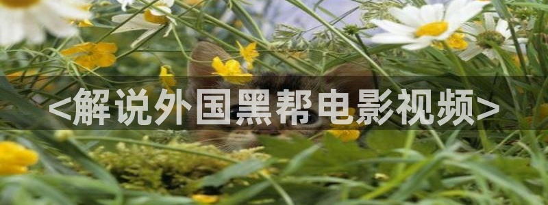 yy4480青苹果影院新视觉