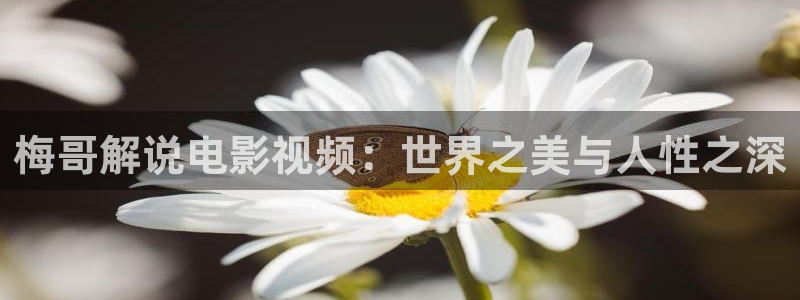 yy48青苹果影院在线观看