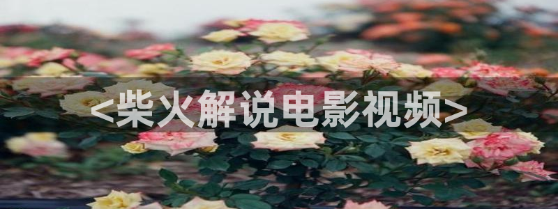 yy48o青苹果影院