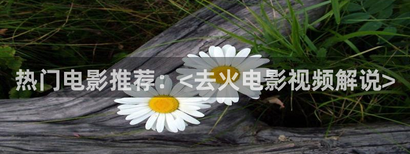 青苹果乐园免费观看完整