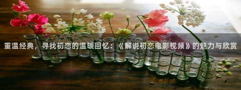 yy4480青苹果乐园免费播放电视剧下电影院