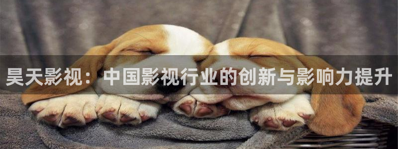 yy608青苹果影院